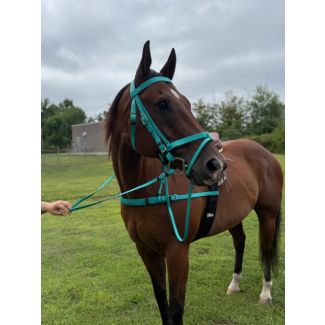 Biothane Breastcollar